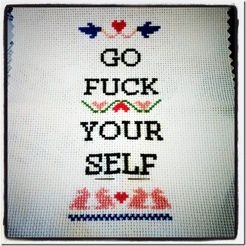 subversive cross stitch go fuck yourself