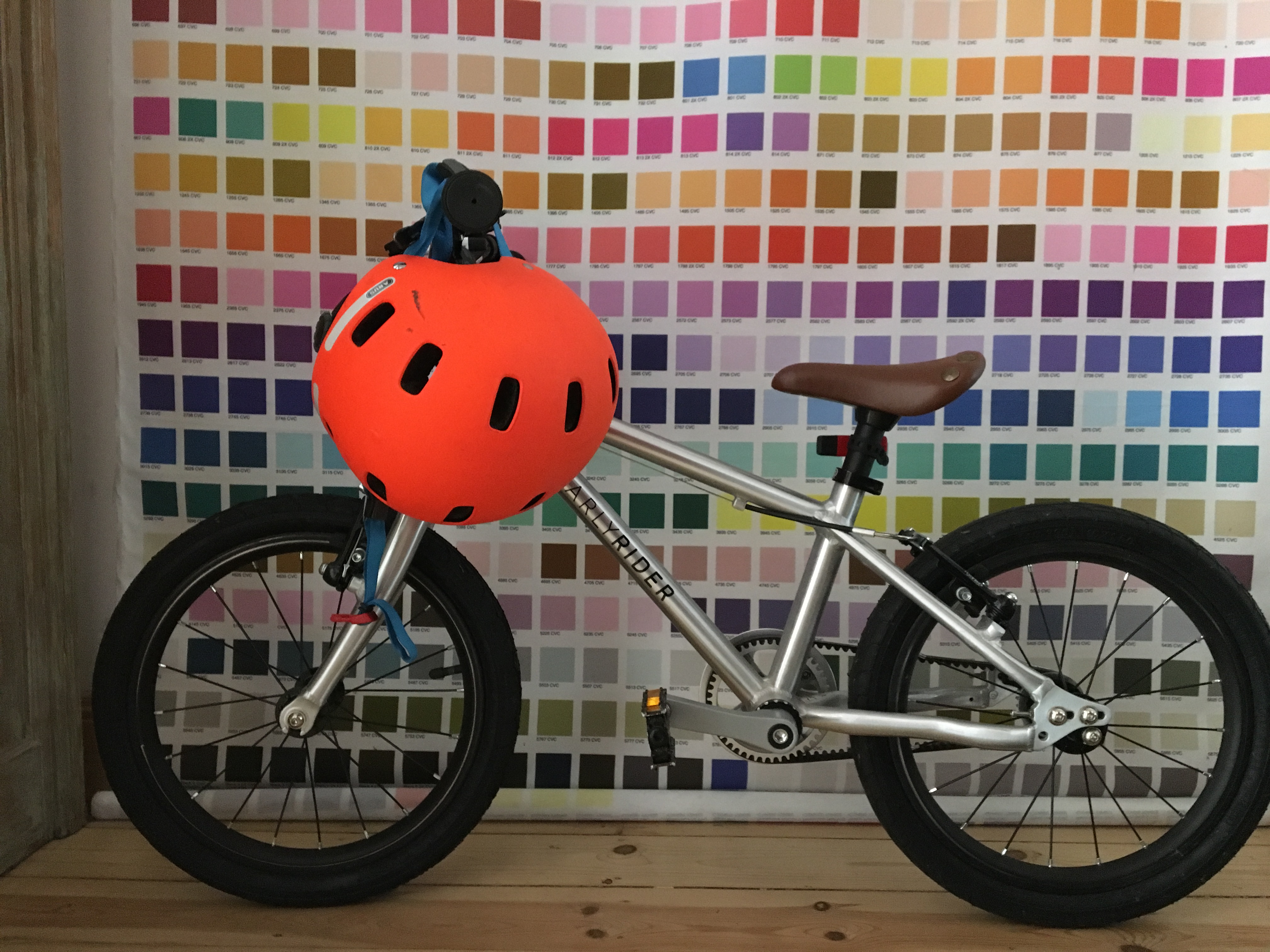 Early rider : mon expérience du deux roues avec les enfants