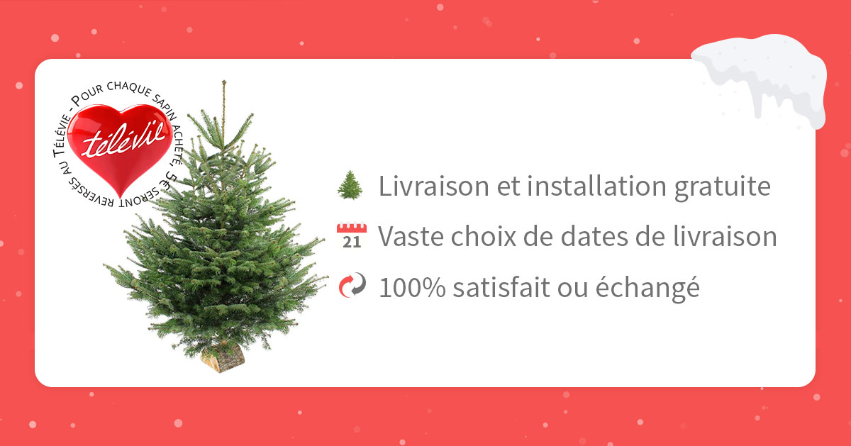 livraison sapin de Noël Bruxelles